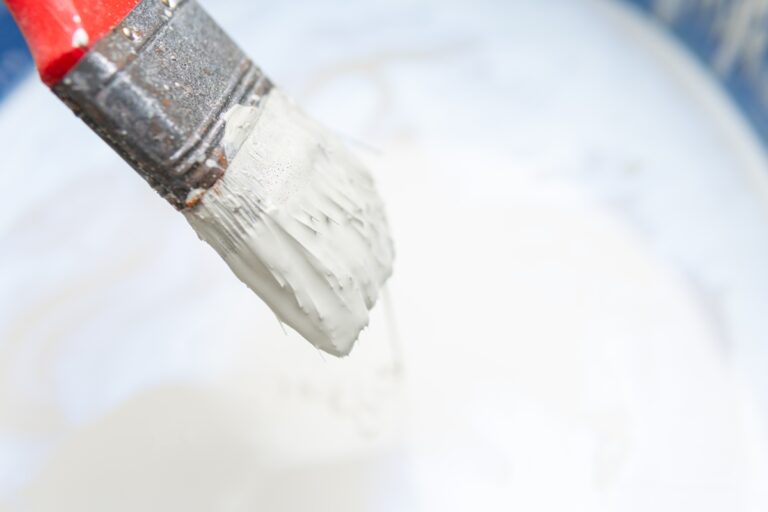 Pleśń na ścianie: jak działają farby przeciwgrzybicze i czy zastąpią wentylację? Pleśń na ścianie: jak działają farby przeciwgrzybicze i czy zastąpią wentylację?